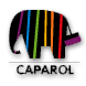 Click here to visit the CAPAROL website!
